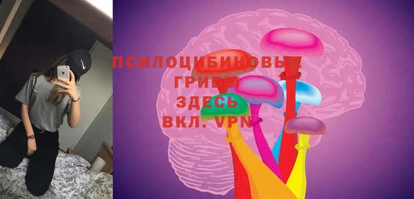 ALPHA-PVP Алексеевка