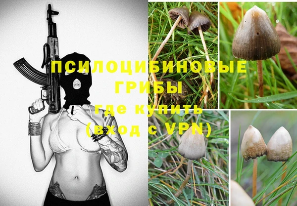 MDMA Premium VHQ Алзамай