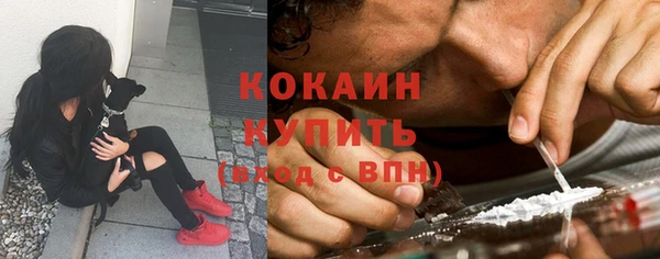 a pvp Абаза